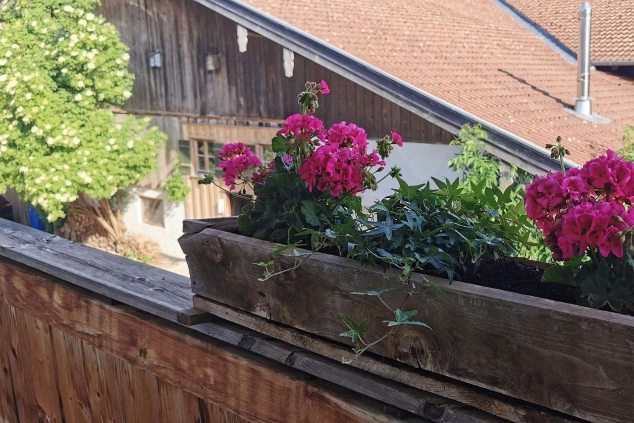 Green Hills Appaloosa Ranch Waakirchen Εξωτερικό φωτογραφία
